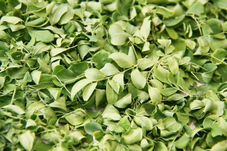 健康食品の殺菌加工とは？必要性と目的